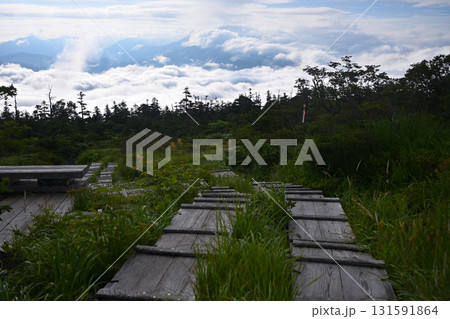 雲海は続く木道 雲海は続く木道 131591864