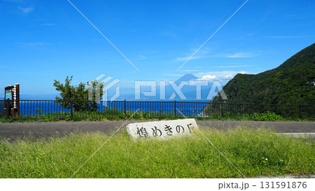 煌めきの丘からの富士山と駿河湾 131591876