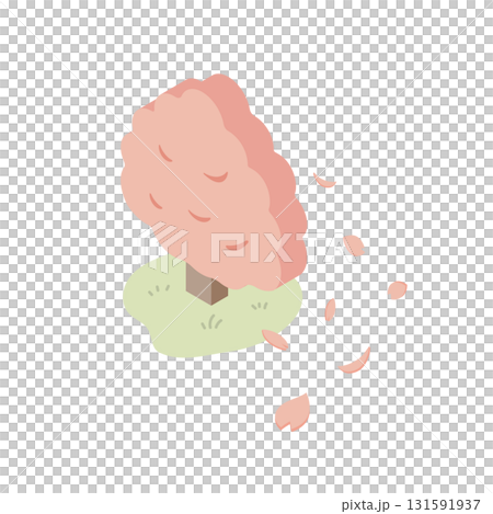 桜の木から舞い散る花びらのアイソメトリックなベクターイラスト(春・新生活・お花見・桜吹雪) 桜の木から舞い散る花びらのアイソメトリックなベクターイラスト(春・新生活・お花見・桜吹雪) 131591937