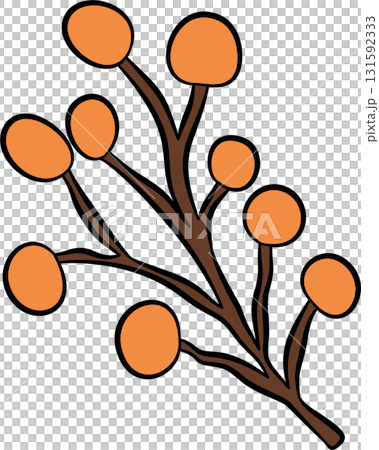 Orange wildflowers 131592333