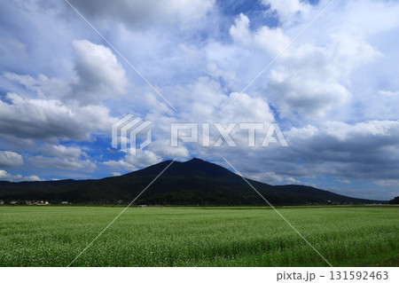 筑波山麓の常陸秋そば 筑波山麓の常陸秋そば 131592463