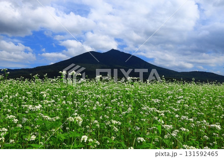 筑波山麓の常陸秋そば 131592465