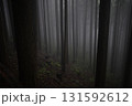 霧に包まれた森 131592612