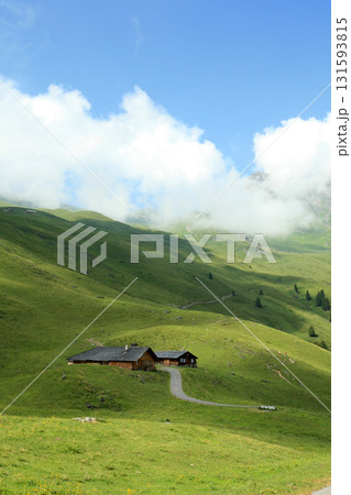 スイスの風景 131593815
