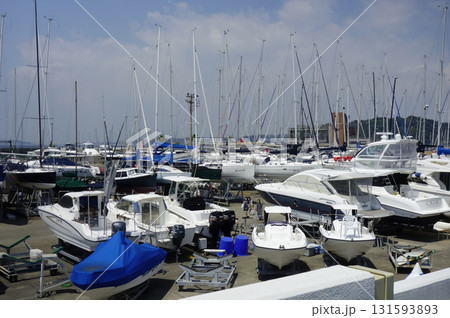 2020年8月8日、神奈川県逗子市：逗子マリーナに停泊するヨットが並ぶ真夏の港町 131593893