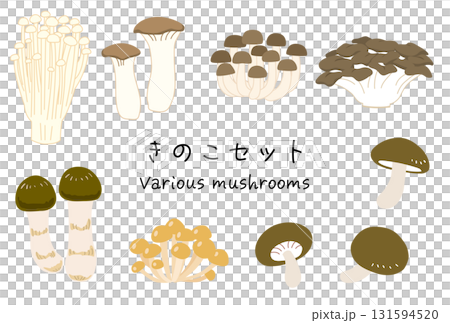 色々なキノコのイラストセット エノキ・エリンギ・シメジ・舞茸・松茸・なめこ・椎茸 色々なキノコのイラストセット エノキ・エリンギ・シメジ・舞茸・松茸・なめこ・椎茸 131594520