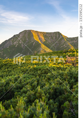 南アルプスの南岳山頂から見るモルゲンロートの聖岳（前聖岳、奥聖岳）　南アルプス聖岳登山 131595212
