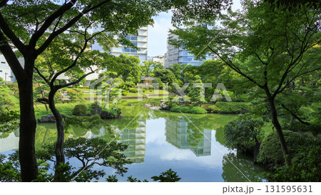 旧安田庭園の秋 旧安田庭園の秋 131595631