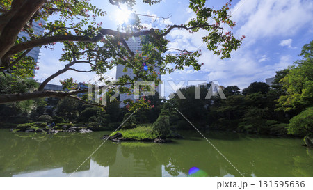 旧安田庭園の秋 131595636