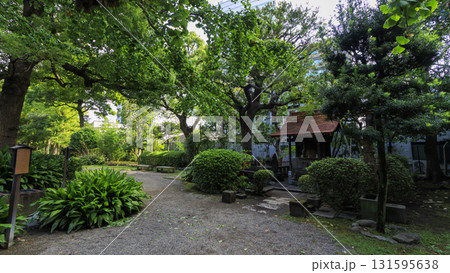 旧安田庭園の秋 131595638