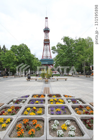 札幌大通公園　大通公園　札幌テレビ塔 131595898