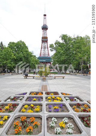札幌大通公園 大通公園 札幌テレビ塔 札幌大通公園 大通公園 札幌テレビ塔 131595900