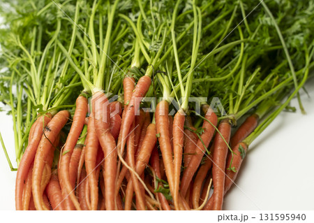 採れたての葉人参　ミニキャロット 131595940