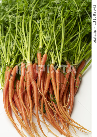 採れたての葉人参　ミニキャロット 131595943