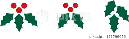 クリスマスの柊・ひいらぎのイラスト 131596056