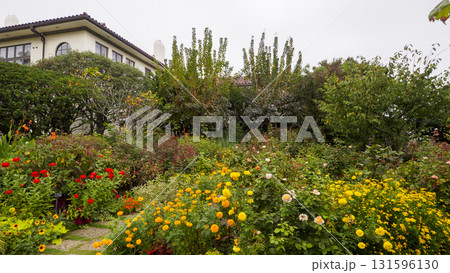 港の見える丘公園からの風景 港の見える丘公園からの風景 131596130