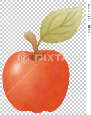 Apple autumn harvest in watercolor style of seasonal food for holiday celebration 131596799