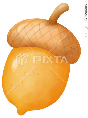 acorn thanksgiving autumn harvest in watercolor style of seasonal food for holiday celebration acorn thanksgiving autumn harvest in watercolor style of seasonal food for holiday celebration 131596803