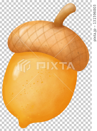 acorn thanksgiving autumn harvest in watercolor style of seasonal food for holiday celebration acorn thanksgiving autumn harvest in watercolor style of seasonal food for holiday celebration 131596803