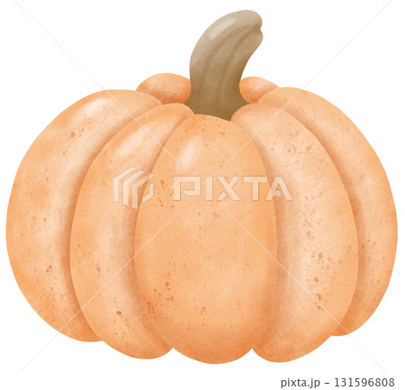 Thanksgiving autumn harvest in watercolor style of seasonal food for holiday celebration 131596808