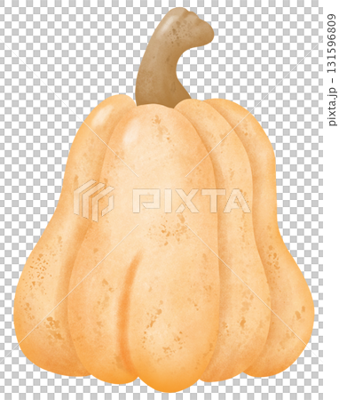 Pumpkin autumn harvest in watercolor style of seasonal food for holiday celebration 131596809