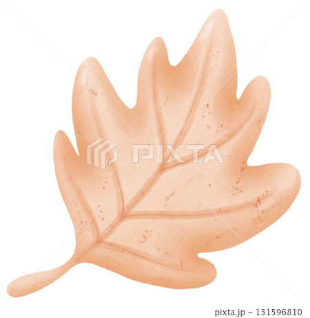 Maple leaf autumn harvest in watercolor style of seasonal food for holiday celebration Maple leaf autumn harvest in watercolor style of seasonal food for holiday celebration 131596810