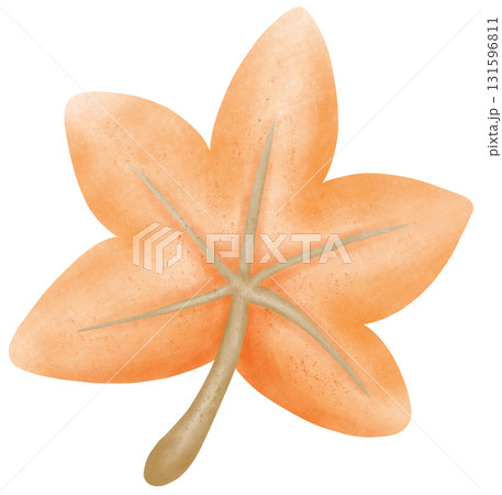 leaf autumn harvest in watercolor style of seasonal food for holiday celebration leaf autumn harvest in watercolor style of seasonal food for holiday celebration 131596811