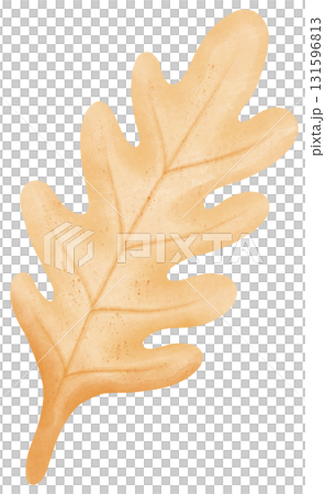 leaf autumn harvest in watercolor style for thanksgiving holiday celebration 131596813