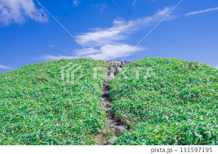 美ヶ原高原の風景 展望台への道 美ヶ原高原の風景 展望台への道 131597195