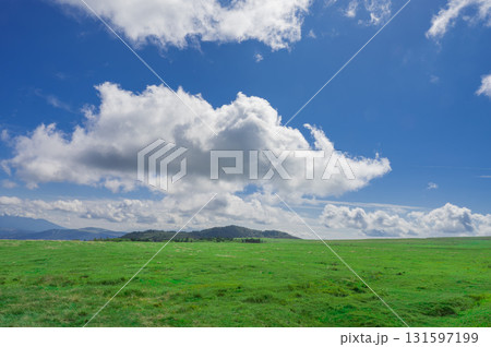 美ヶ原高原の風景　青空と高原 131597199