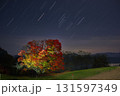 オリオンと大峰高原の七色大カエデ 131597349