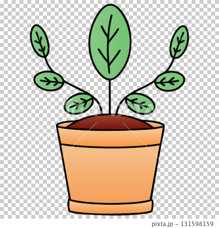 Simple Seedling Sprout in Terracotta Pot on Transparent Background 131598159