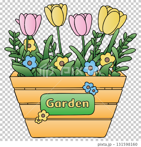 Colorful Tulip and Small Flowers in Wooden Planter on Transparent Background 131598160