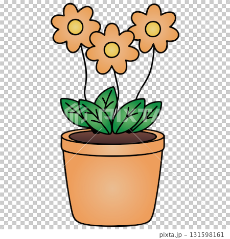 Simple Orange Flowers in Terracotta Pot on Transparent Background 131598161