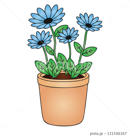 Blue Daisy or Simple Flowers in Pot on Transparent Background 131598167