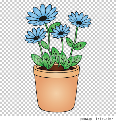Blue Daisy or Simple Flowers in Pot on Transparent Background 131598167
