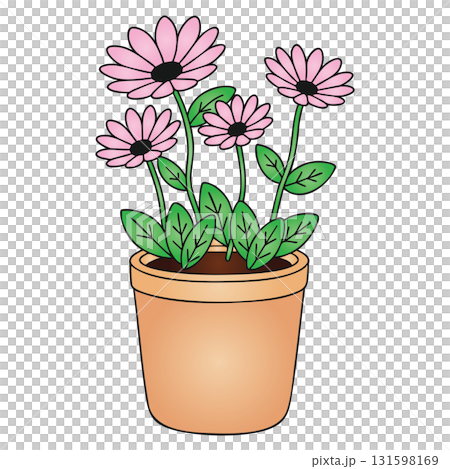 Pink Gerbera Daisy Flowers in Pot on Transparent Background Pink Gerbera Daisy Flowers in Pot on Transparent Background 131598169