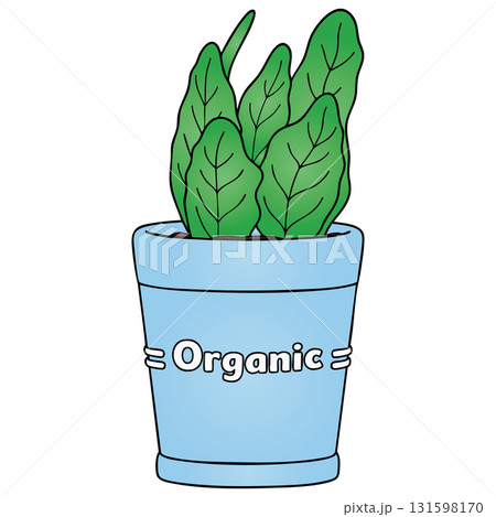 Organic Herb or Houseplant in Blue Pot on Transparent Background 131598170