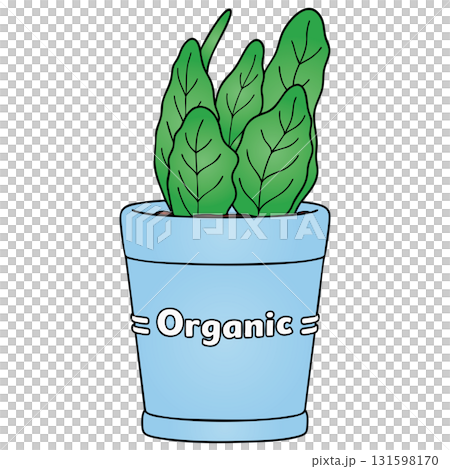 Organic Herb or Houseplant in Blue Pot on Transparent Background 131598170