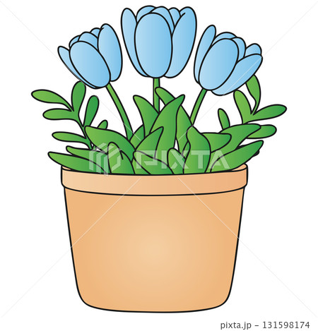 Potted Blue Tulip Flowers Line Art Illustration on Transparent Background 131598174