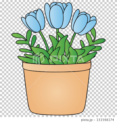 Potted Blue Tulip Flowers Line Art Illustration on Transparent Background 131598174