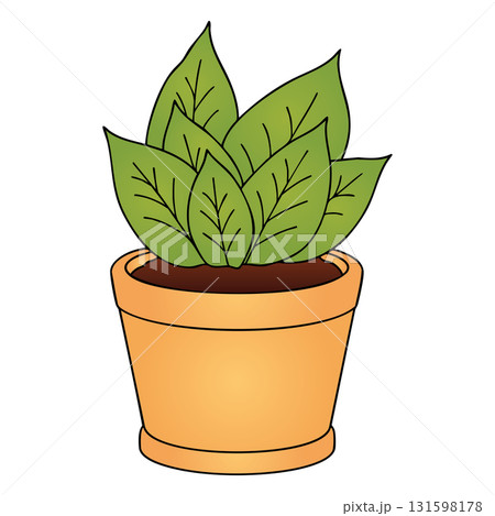 House Plant with Large Green Leaves on Transparent Background House Plant with Large Green Leaves on Transparent Background 131598178