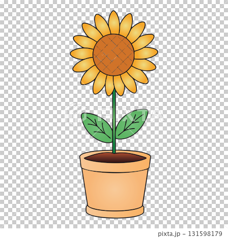 Single Sunflower in Terracotta Pot Illustration on Transparent Background Single Sunflower in Terracotta Pot Illustration on Transparent Background 131598179