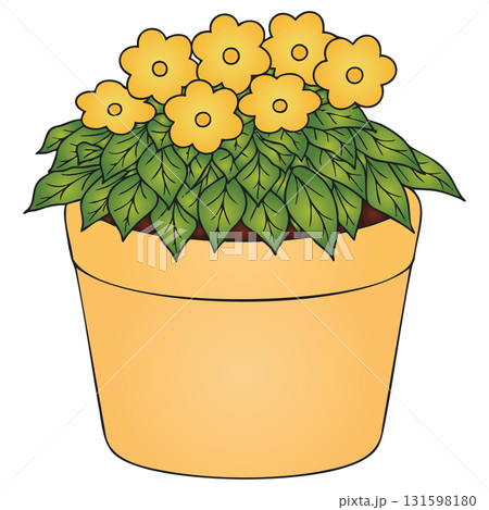 Yellow Pansy Flowers with Foliage on Transparent Background Yellow Pansy Flowers with Foliage on Transparent Background 131598180