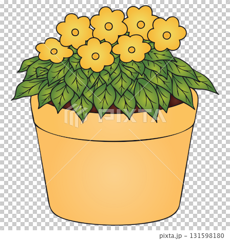 Yellow Pansy Flowers with Foliage on Transparent Background Yellow Pansy Flowers with Foliage on Transparent Background 131598180