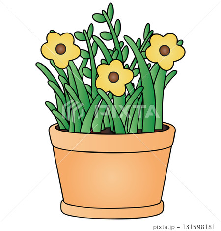 Grass and Yellow Simple Flowers in Pot on Transparent Background 131598181