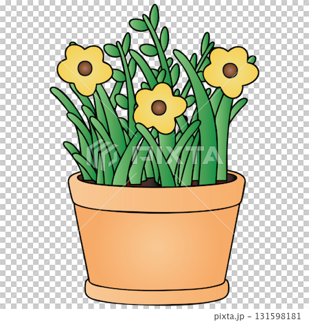 Grass and Yellow Simple Flowers in Pot on Transparent Background 131598181