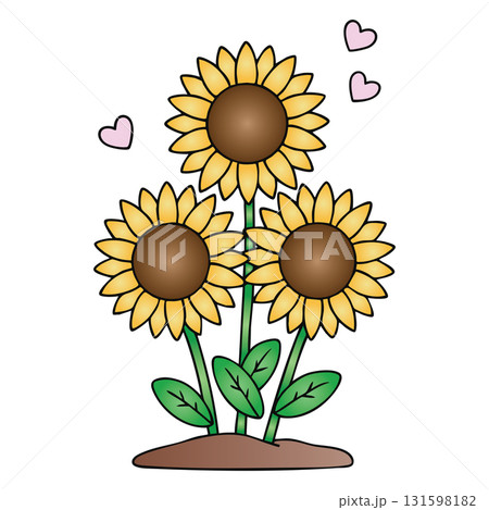 Sunflower Flowers with Hearts Growing from Earth on Transparent Background 131598182