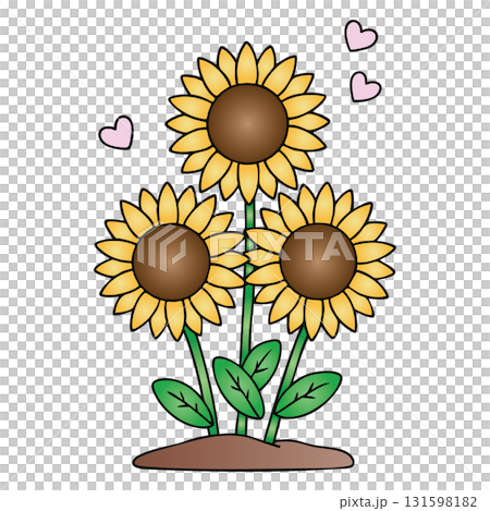 Sunflower Flowers with Hearts Growing from Earth on Transparent Background 131598182