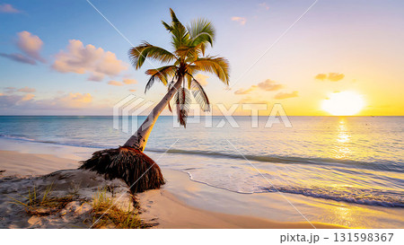 A palm tree on a sandy beach at sunset with the sun reflecting on the ocean water and soft clouds 131598367